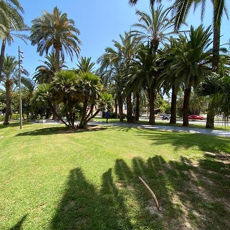 Apartamento Tropical Loft Alicante Exterior foto