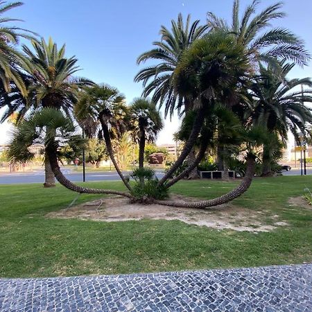 Apartamento Tropical Loft Alicante Exterior foto